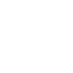 search icon